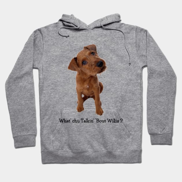 What' Chu Talkin' 'bout Willis? Hoodie by cameradog